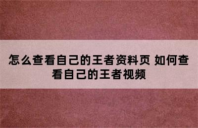 怎么查看自己的王者资料页 如何查看自己的王者视频